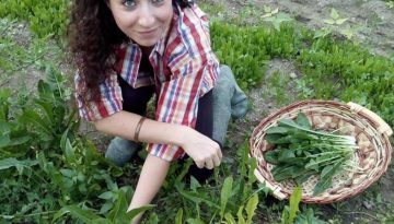 sara-fields2-785x824